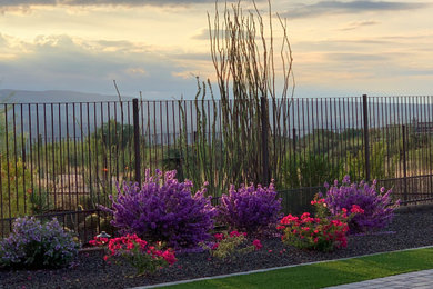 Inspiration for a transitional full sun landscaping in Phoenix.