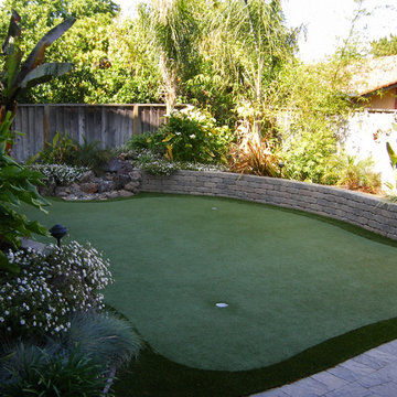 Tropical Backyard