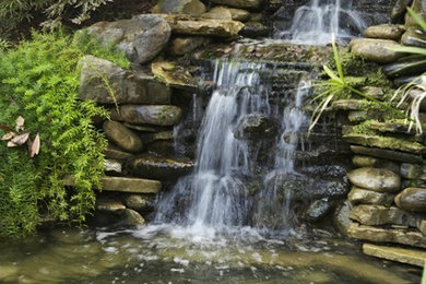 Tropical Backyard Oasis - waterfall and koi pond