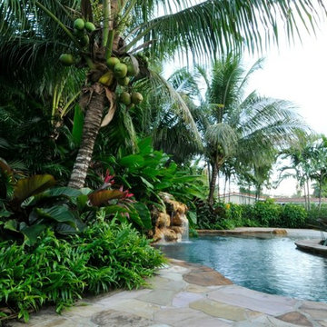 Tropical Design