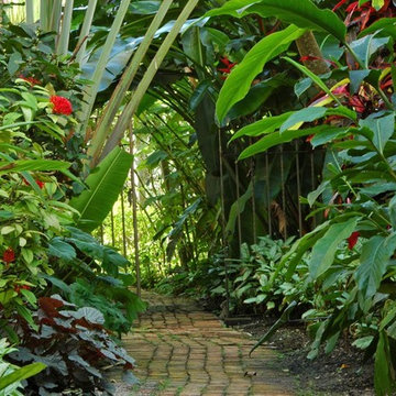 Tropical Design