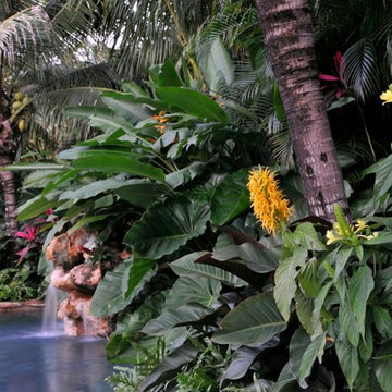 Tropical Design
