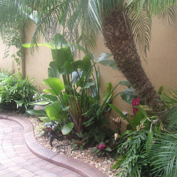 Tropical Florida