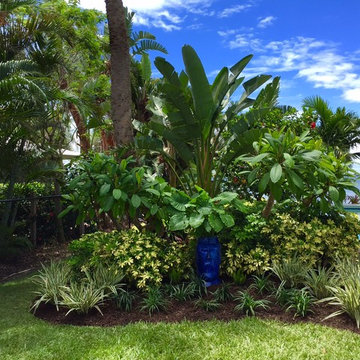 Tropical front & backyard landscapes....Palms & Color