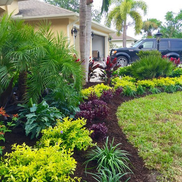 Tropical front & backyard landscapes....Palms & Color
