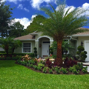 Tropical front & backyard landscapes....Palms & Color