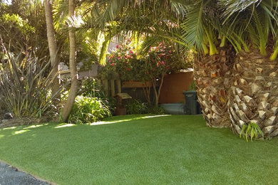 Photo of a mid-sized tropical drought-tolerant front yard landscaping in Orange County.