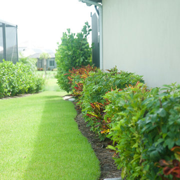 Tropical Full Yard Landscape in Naples FL