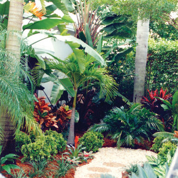 Tropical Hideaway in Boca Raton