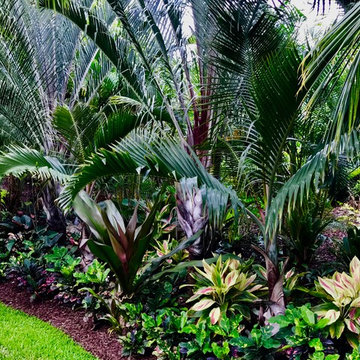 Tropical Home Landscape Design