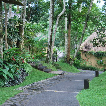 Tropical Landscape