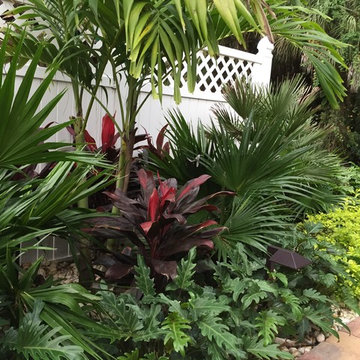 Tropical landscape spaces, All around the house.