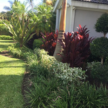 Tropical landscape spaces, All around the house.