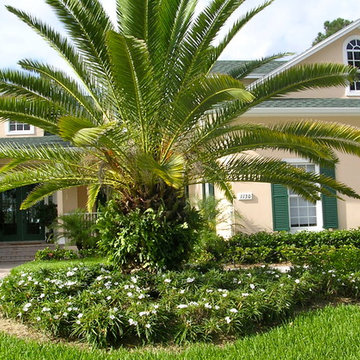 Tropical landscape spaces, All around the house.