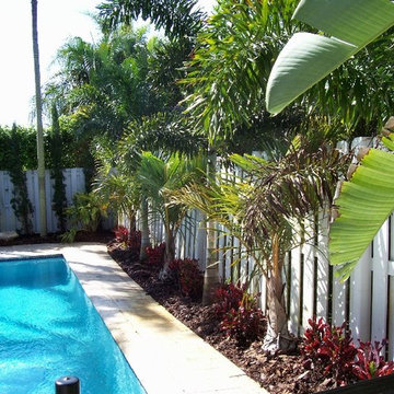 Tropical Landscape
