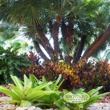 Tropical Landscaping