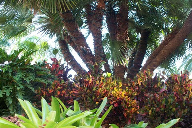 Idée de décoration pour un jardin ethnique avec une exposition ensoleillée.