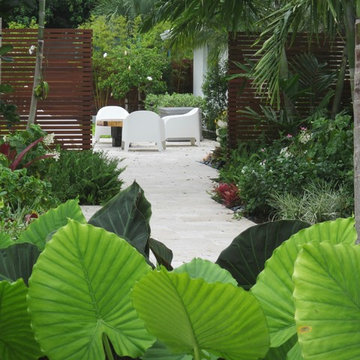 Tropical landscaping entry in South Florida