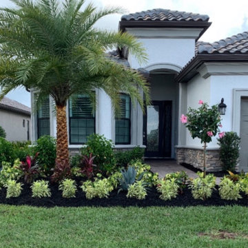 Tropical Landscaping Re Do