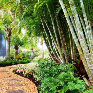 Tropical Pathway