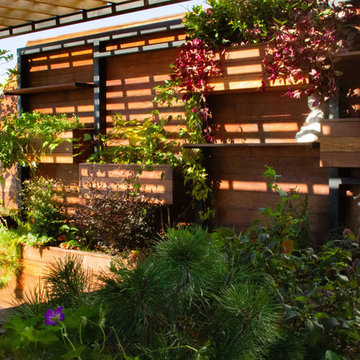 Tropical Rooftop Garden