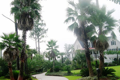 Idéer för stora tropiska trädgårdar framför huset på sommaren, med marksten i tegel