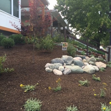 True North Landscaping - Holy Cross