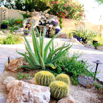 Tucson Oasis