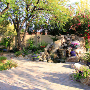 Tucson Oasis