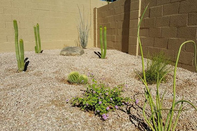Inspiration for a small southwestern drought-tolerant and full sun backyard landscaping in Phoenix.