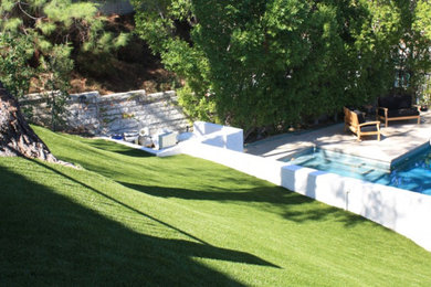 Design ideas for a contemporary garden in Los Angeles.