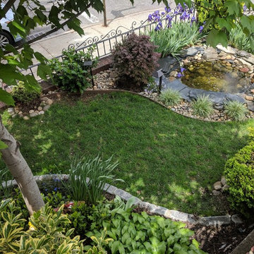 Turtle Pond Oasis