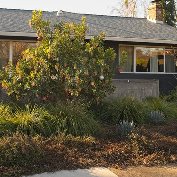 Two mid-century modern front yards
