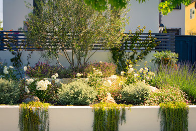ロサンゼルスにある中くらいな地中海スタイルのおしゃれな前庭 (ゼリスケープ、擁壁) の写真