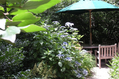 Diseño de jardín actual en patio con exposición parcial al sol y gravilla