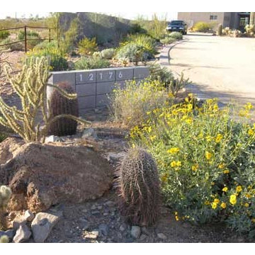 Urban Earth - Phoenix Landscape Architects