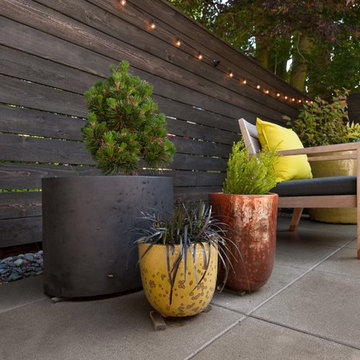Urban Family Garden