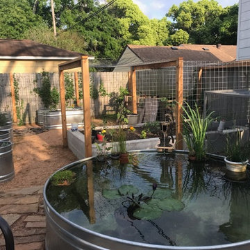 Urban Farm with Chickens