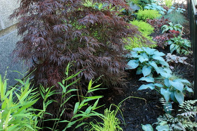This is an example of a contemporary partial sun backyard mulch landscaping in Chicago.