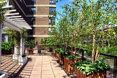 Photo of a contemporary landscaping in New York.