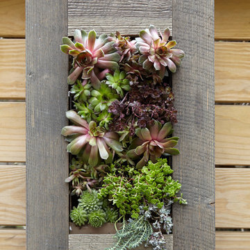 Urban Outdoor Living Art Gallery