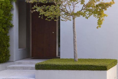 Inspiration for a modern landscaping in San Francisco.