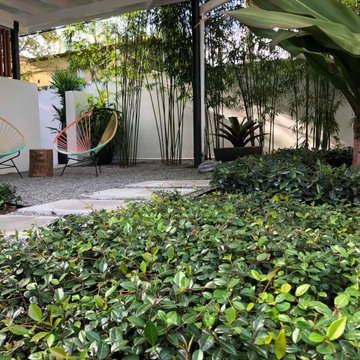 Urban Retreat near Downtown Miami