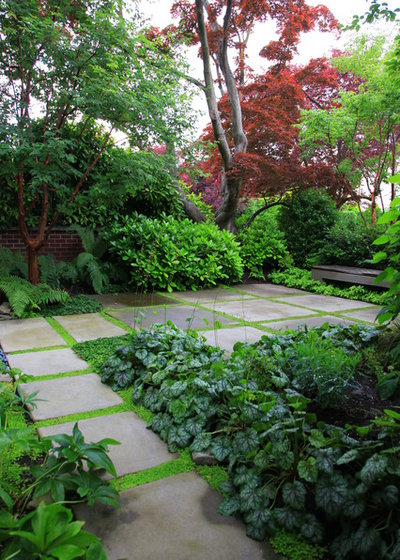 Contemporary Garden by Paul Sangha Landscape Architecture