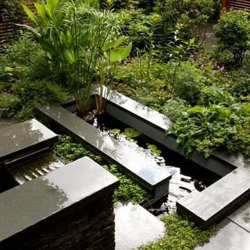 Urban Sanctuary