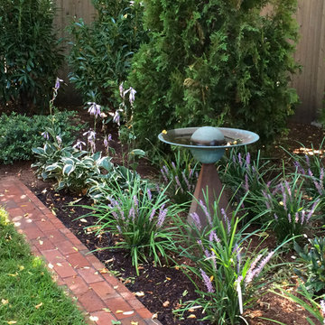 Urban Shade Garden