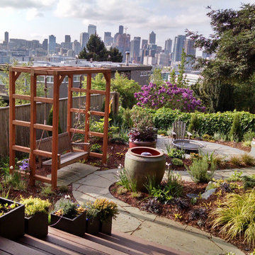 Urban View Living--Project Pics Show Fresh Planting