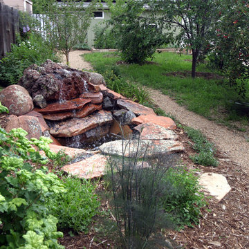 Useful Herbs by Water Feature