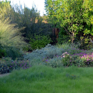 Valley backyard