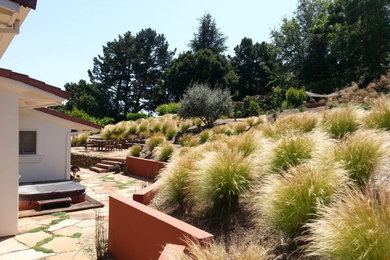 Inspiration for a large transitional stone landscaping in San Francisco.